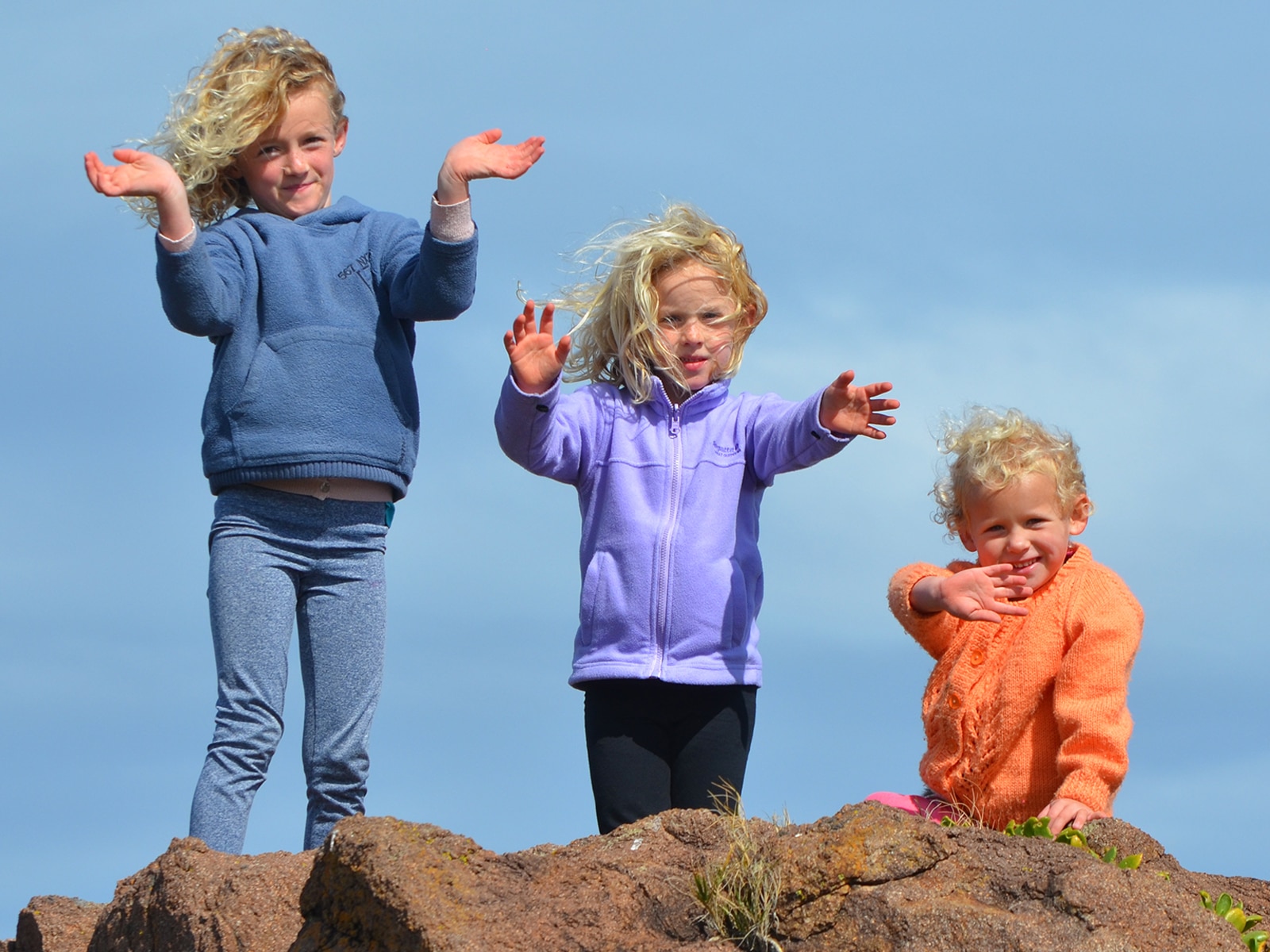 7 foster care myths - birth order