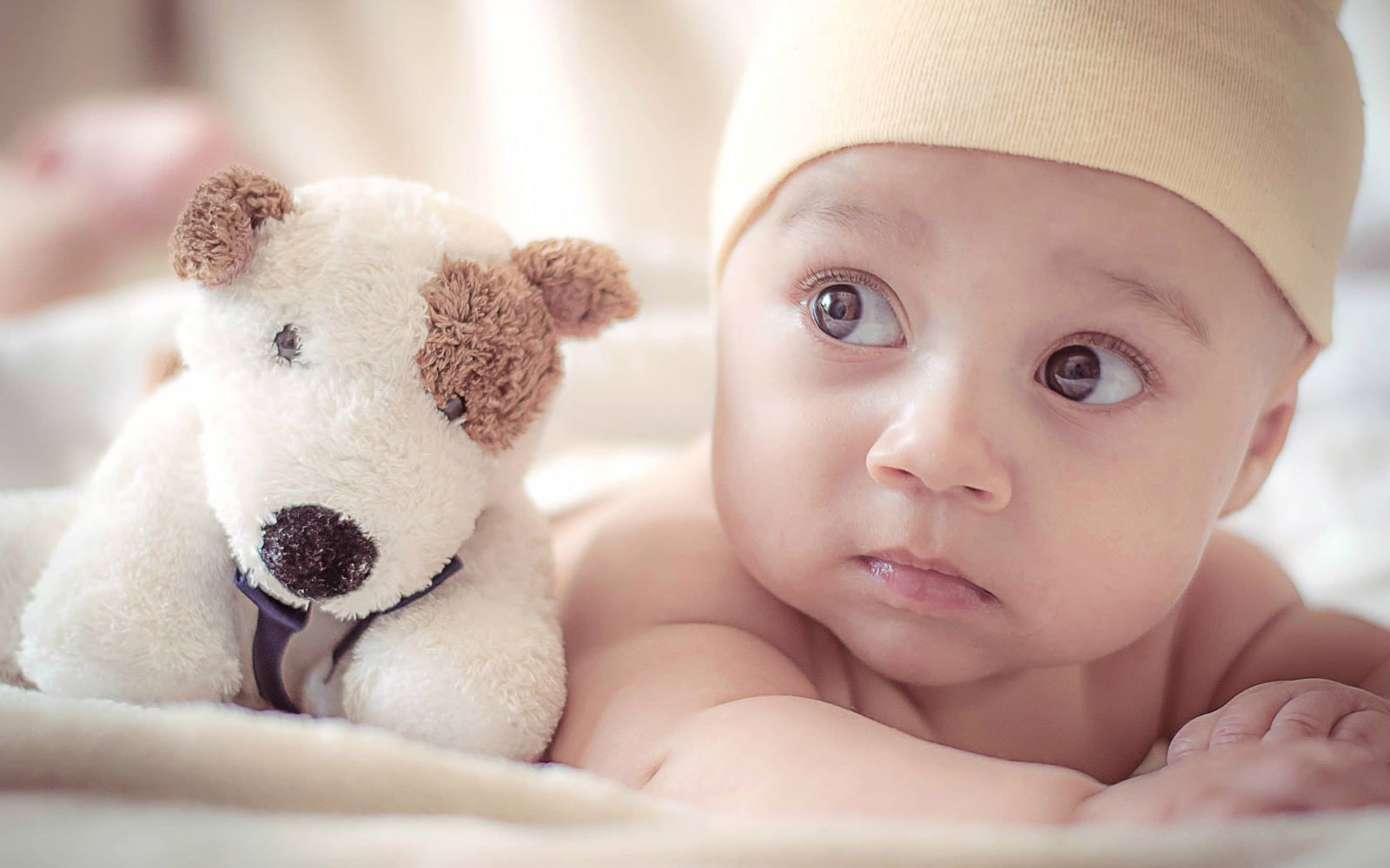 7 foster care myths - younger the better chance