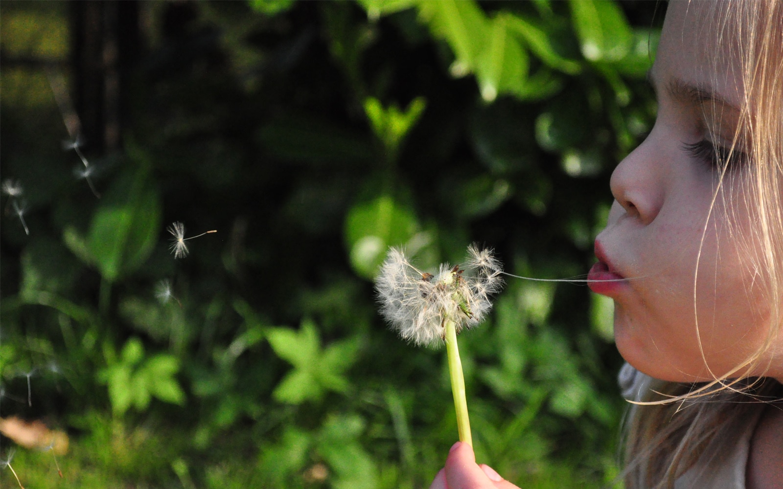 Why I keep doing foster care: the kids